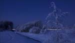 _MG_0554
