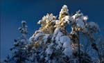_MG_0565