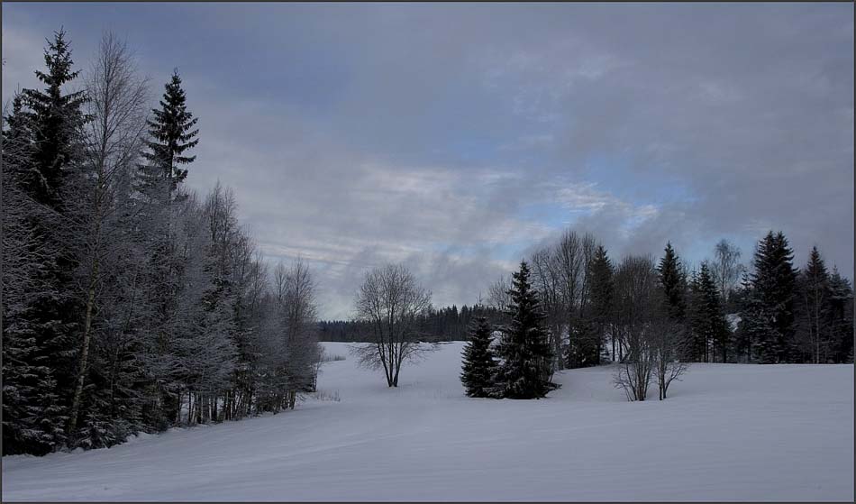 _MG_2325A