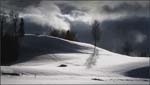 _MG_2454a